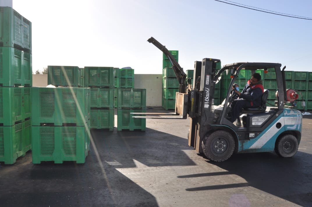 WhatsApp Image 2026-02-12 at 4.35.16 PM